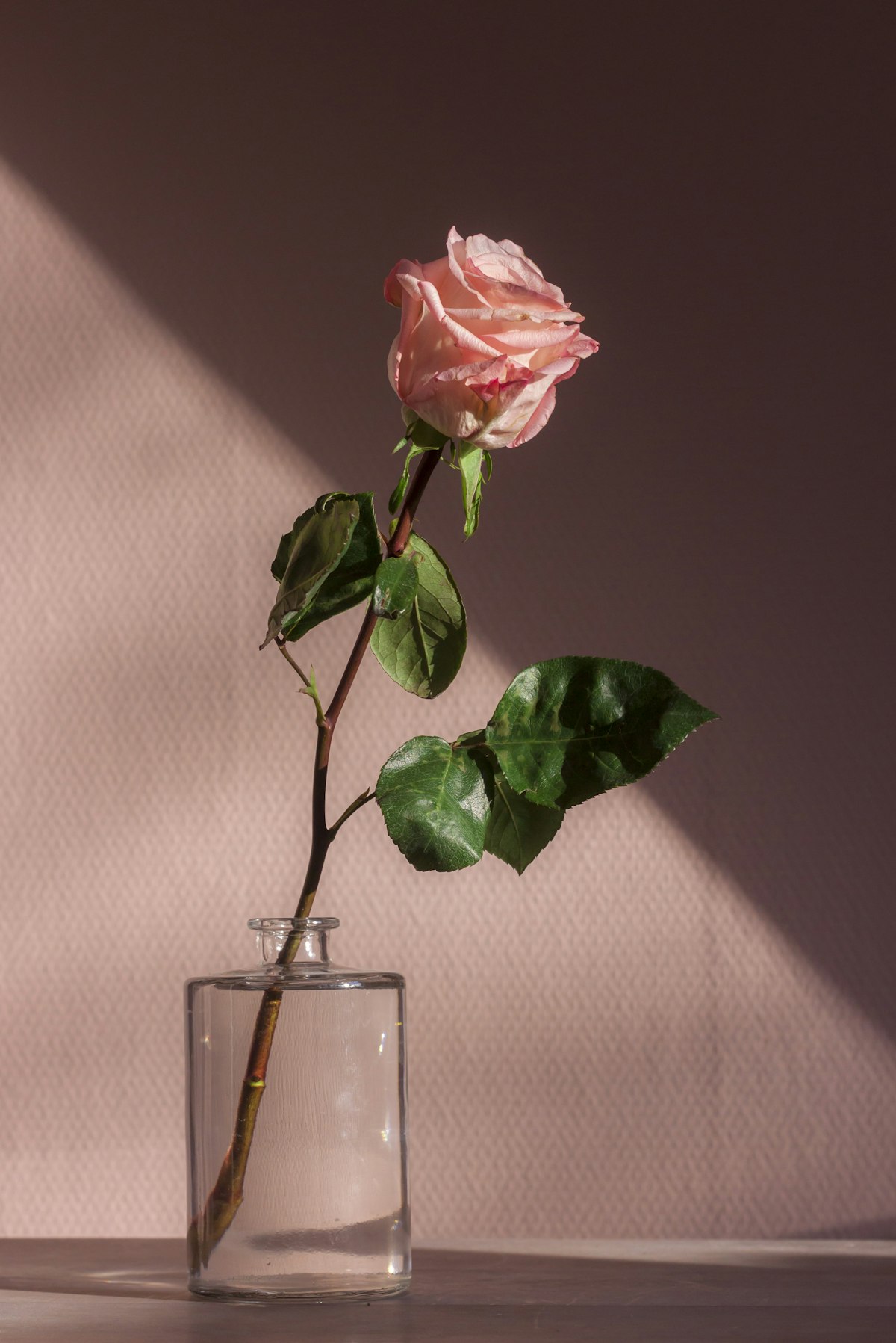 The Solitaire — Single Garden Rose, Hand-Blown Glass Vessel